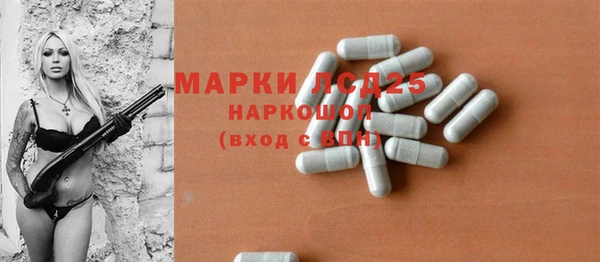 гашик Осинники