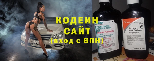 гашик Осинники