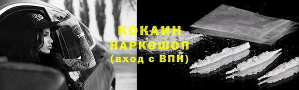 гашик Осинники