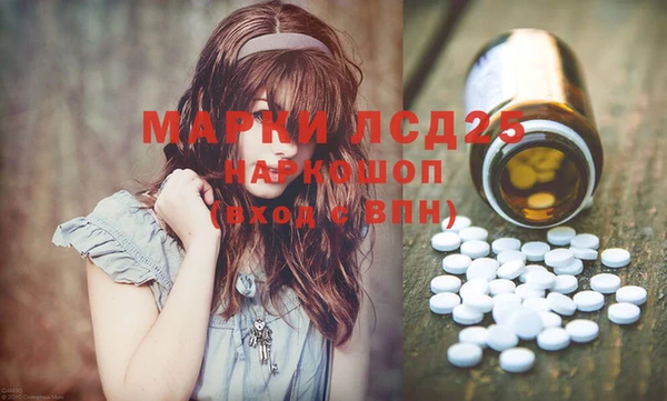 гашик Осинники